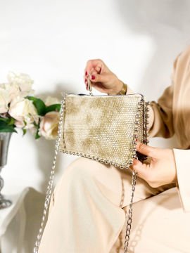 Sellini Kadın Vizon Yılan Desenli Zincirli Omuz ve Kol Çantası